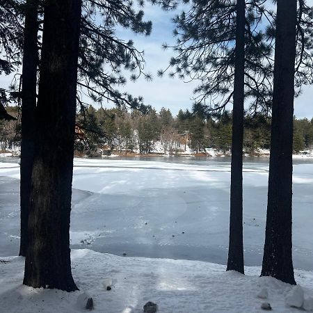 Beautiful Mountain Cabin Getaway Villa Green Valley Lake Eksteriør bilde